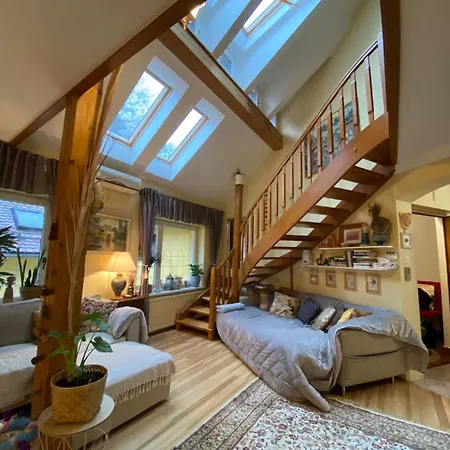 Unique Apartma In The Center