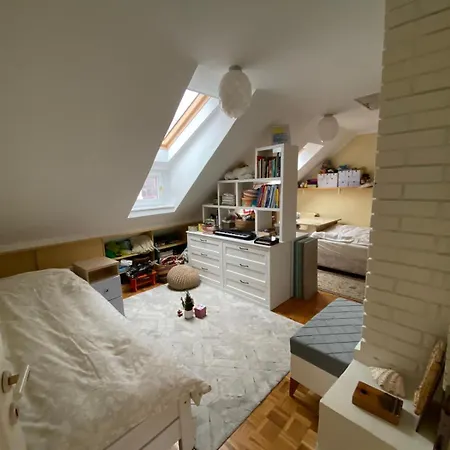 アパート Unique Apartma In The Center リュブリャナ